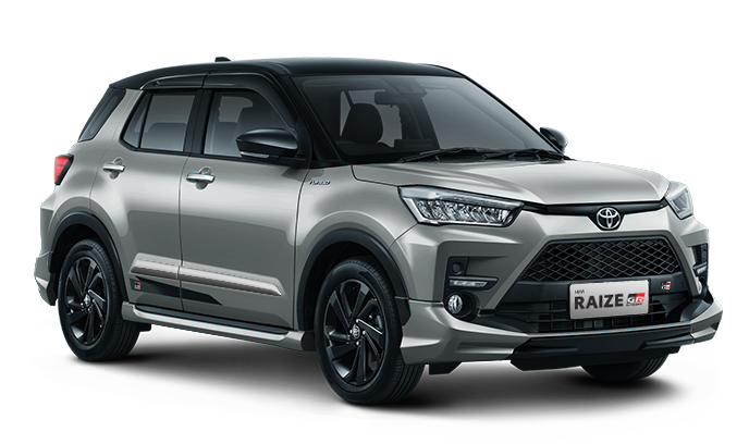 Black - Silver Metalic